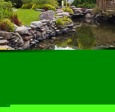 Am&eacute;nagement de jardin