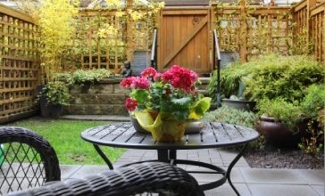 Mini-jardin à Namur et à Bruxelles : un accompagnement professionnel pour un aménagement optimal